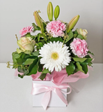 Candy Cotton Box